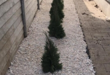 Amenajam gradini Slatina Amenajari Gradini si Spatii Verzi Slatina ADD.GREEN EXCLUSIVE