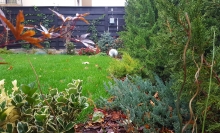 Amenajam gradini Alba Iulia Amenajari Gradini Spatii Verzi Alba Iulia - Unique Landscaping