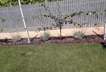 Amenajam gradini Dragomiresti-Deal Amenajari Gradini si Spatii Verzi Dragomiresti-Deal - Creative Event