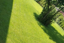 Amenajam gradini Otopeni Amenajari Gradini si Spatii Verzi Otopeni ART GARDEN