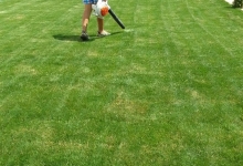 Amenajam gradini Mogosoaia Amenajari Gradini si Spatii Verzi Mogosoaia ART GARDEN