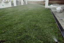 Fotografia 32 — Amenajari Gradina Hunedoara - Giardini Veneziani SRL