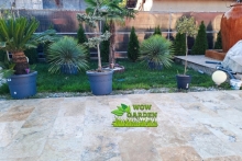 Amenajam gradini Lumina Amenajari Gradini si Spatii Verzi Lumina - WOW GARDEN
