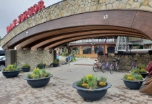Amenajam gradini Sannicolau Mare Flower Garden Design
