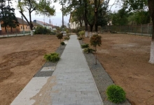 Amenajam gradini Sannicolau Mare Flower Garden Design