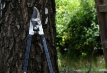 Amenajam gradini Ploiesti Amenajari Gradini si Spatii Verzi Ploiesti - WOW GARDEN