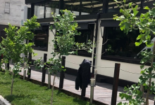 Amenajam gradini Harsova Amenajari Gradini si Spatii Verzi Harsova - ADD.GREEN EXCLUSIVE