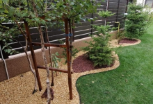 Amenajam gradini Cernavoda Amenajari Gradini si Spatii Verzi Cernavoda - ADD.GREEN EXCLUSIVE