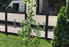 Amenajam gradini Harsova Amenajari Gradini si Spatii Verzi Harsova - ADD.GREEN EXCLUSIVE
