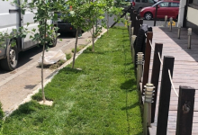 Amenajam gradini Cernavoda Amenajari Gradini si Spatii Verzi Cernavoda - ADD.GREEN EXCLUSIVE