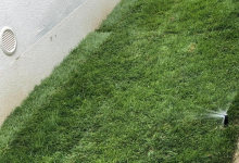 Amenajam gradini Negru Voda Amenajari Gradini si Spatii Verzi Negru Voda - ADD.GREEN EXCLUSIVE