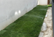 Amenajam gradini Negru Voda Amenajari Gradini si Spatii Verzi Negru Voda - ADD.GREEN EXCLUSIVE