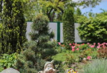 Amenajam gradini Glina Amenajari Gradini Glina - WOW GARDEN