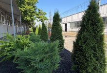 Amenajam gradini Sibiu Amenajari Gradina Sibiu - Giardini Veneziani SRL