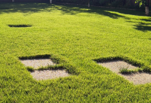 Amenajam gradini Sibiu Amenajari Gradina Sibiu - Giardini Veneziani SRL